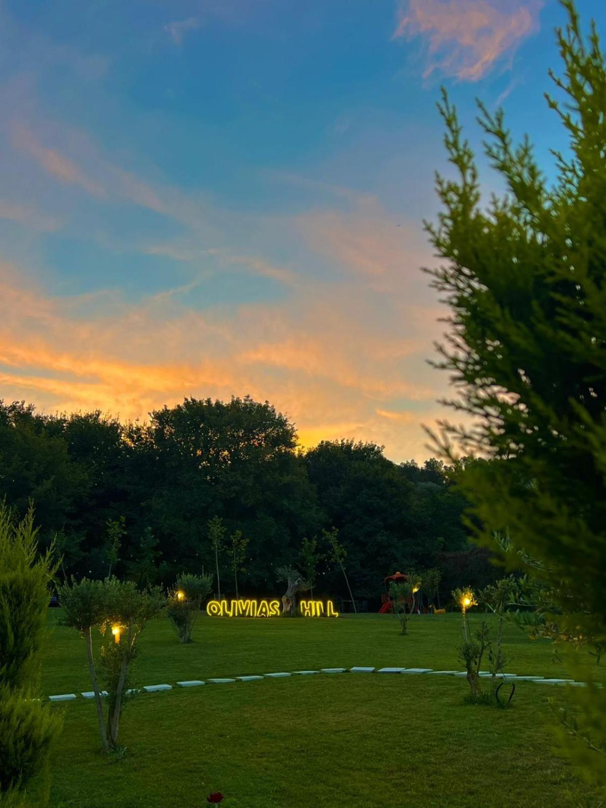 Olivia'S Hill Resort Kryemëdhej エクステリア 写真