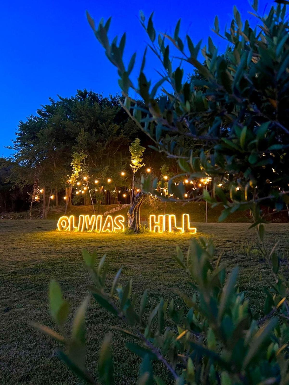 Olivia'S Hill Resort Kryemëdhej エクステリア 写真