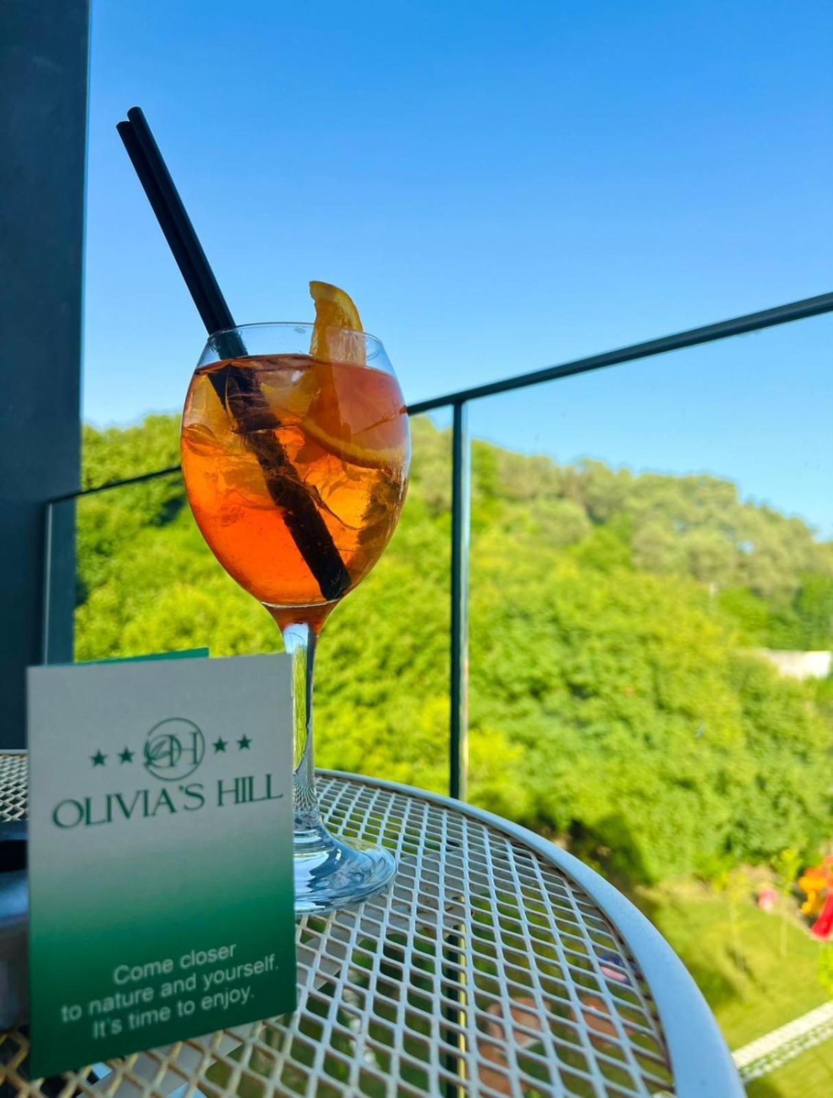 Olivia'S Hill Resort Kryemëdhej エクステリア 写真